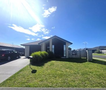 Fun on Furlong - Papamoa - Photo 4