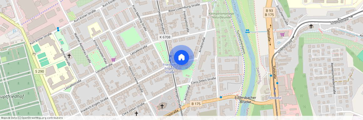 Friedrich-Engels-Straße 63, 08058 Zwickau