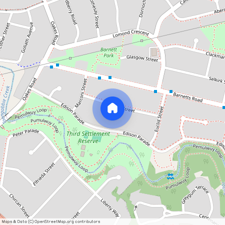 21 Einstein Street, NSW 2153, Winston Hills