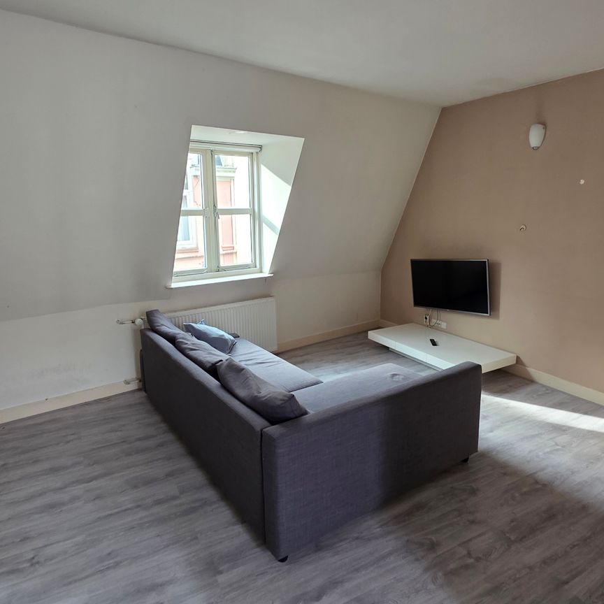 Ruim appartement in de binnenstad van Utrecht te huur voor studenten - Photo 1