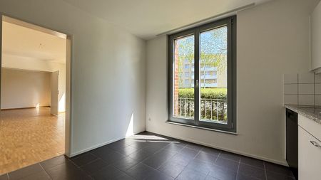 Wohnsiedlung "Obere Widen" im Grünen am Birsufer gelegen - Photo 3