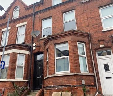 12 Elaine Street, Flat 1, Belfast, BT9 5AR - Photo 2