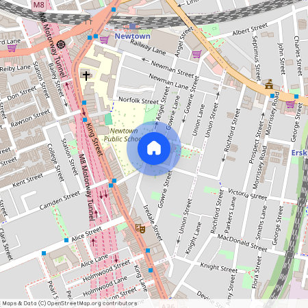 33 Munni Street, NSW 2042, Newtown