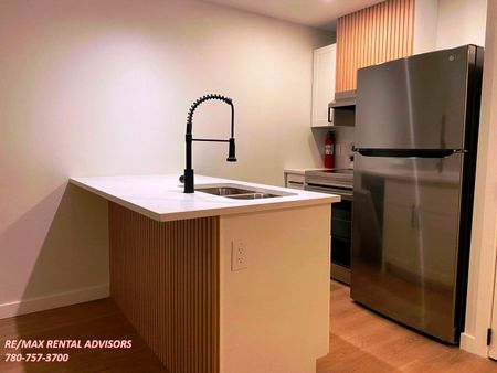 BSMT 8522 84 Ave Northwest - Photo 4