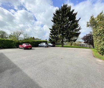 Sycamore House, Newmarket, CB8 - Photo 4