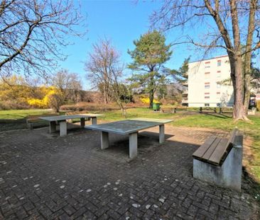 Schöne 3.5 Zimmer Wohnung in beliebtem Quartier nähe Waldrand und d... - Photo 5