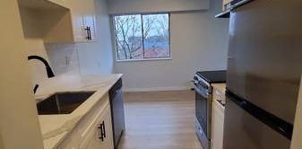 1-Bedroom Apartment-Newly Renovated: - Photo 2