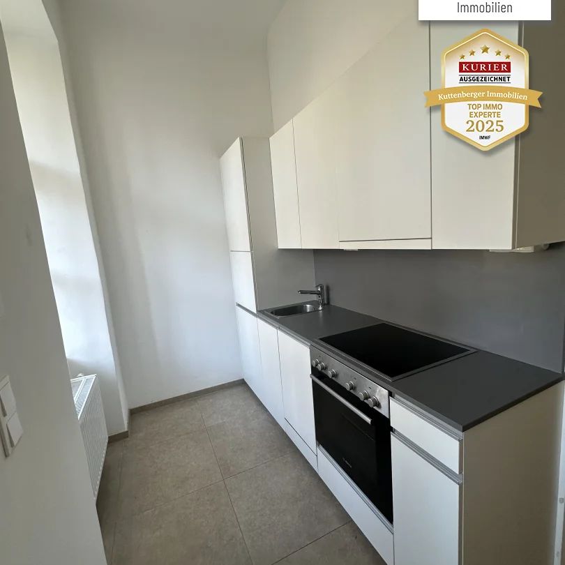 Schöne Altbauwohnung im Herzen von Krems mit Veranda und Gartenbenutzung - Foto 1