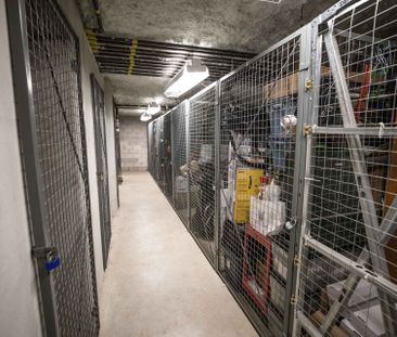 For Lease - 10462 Islington Avenue Unit# 209, Vaughan, Ontario - Photo 3