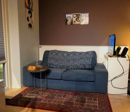 Ebbe Lieberathsgatan, Göteborg - Photo 3