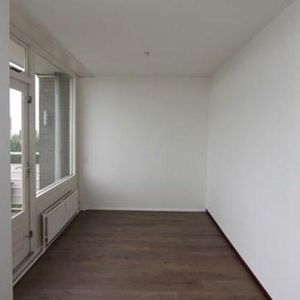 Willemstraat, 2713 Zoetermeer, Nederland - Photo 2