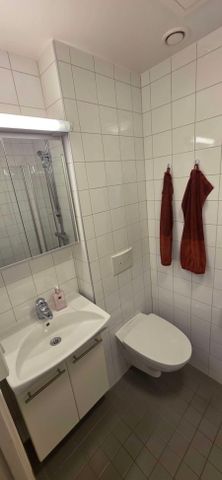 Övre Hallegatan, Göteborg - Photo 4