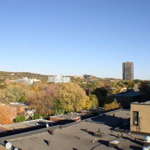 Appartement 3 chambres à louer Côte-Saint-Luc à 5150 MacDonald - Photo 2