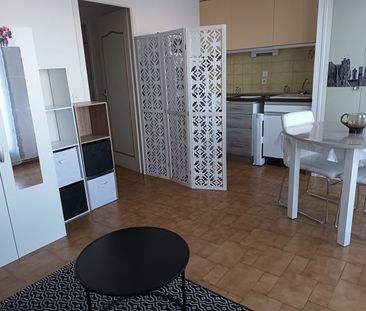 Location Appartement 1 pièce 22m² - Photo 3