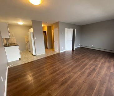 apartments at 1720 Paris Street - Photo 1