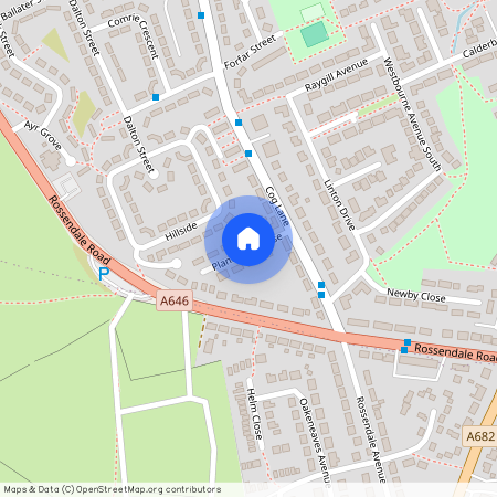 Plane Tree Close, Derby