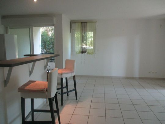 NIMES PUECH DU TEIL - T2 avec CLIMATISATIOIN, JARDIN et GARAGE - Photo 1