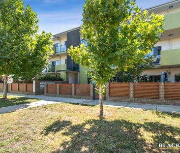 Ground level apartment with expansive courtyard - Photo 6