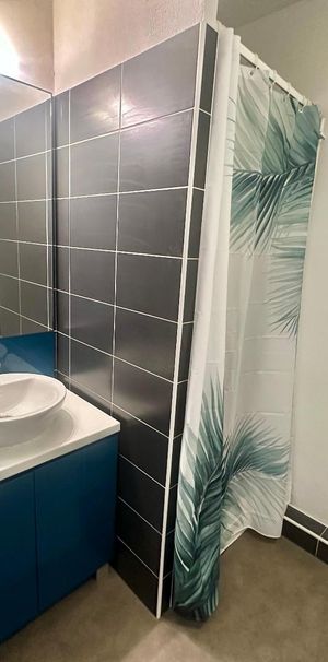 Location Appartement 1 pièce 20m² CALUIRE ET CUIRE 69300 - Photo 2