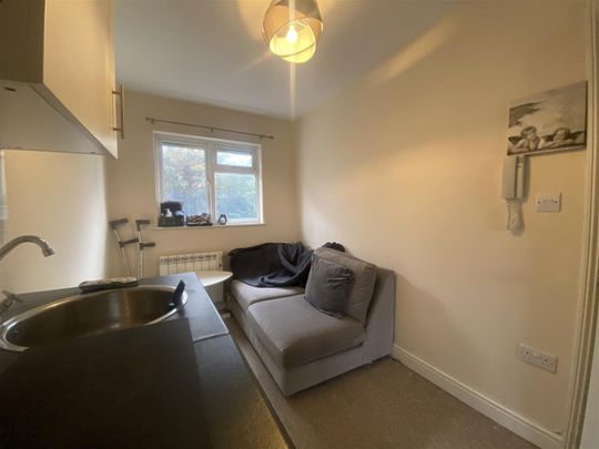 1 Bedroom Flat - Studio To Let - Photo 1