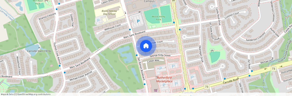 19 Littleriver Court, Vaughan