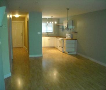 #7 - 1520 Piercy Ave - Photo 4