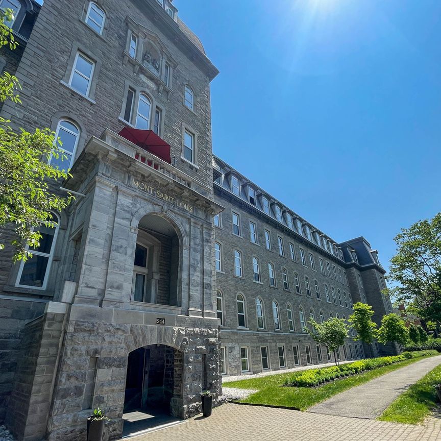 Rue Sherbrooke E., H2X 1E1, Montréal - Photo 1