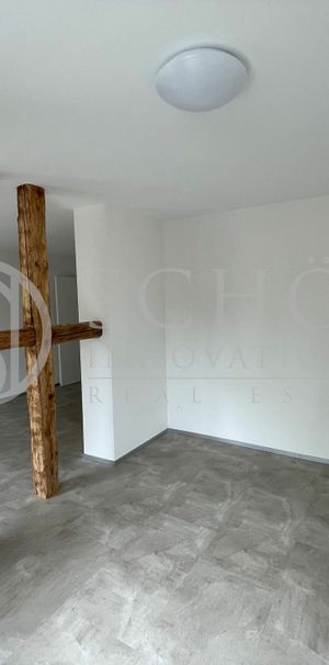 Wohnung | Frisch renovierte und offene 2 Zimmer-Wohnung - Foto 1