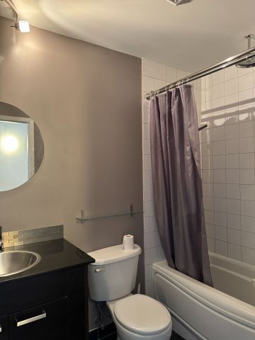 For Lease - 179 GEORGE Street Unit# 1004, Lower Town - Sandy Hill, Ontario - Photo 4