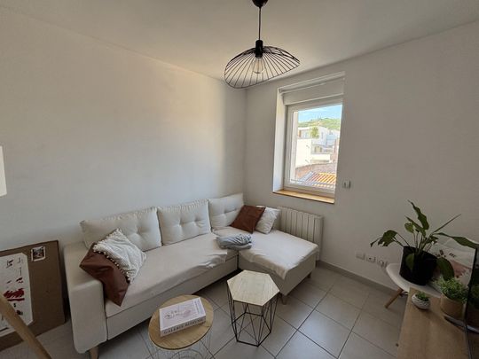 Location Appartement 3 pièces 51m² TAIN L HERMITAGE 26600 - Photo 1