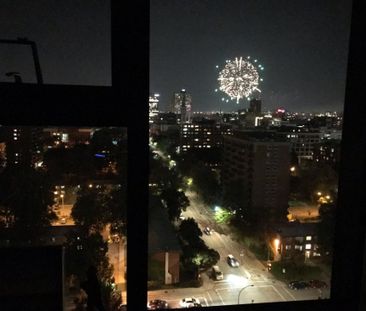 Appartement à louer - Montréal (Ville-Marie) (Centre) - Photo 5