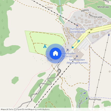 8898, Flumserberg Tannenbodenalp, Molseralpstrasse, 4