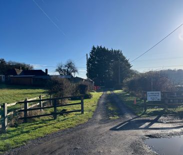 Well Presented 1 Bed Bungalow To Let - Photo 6