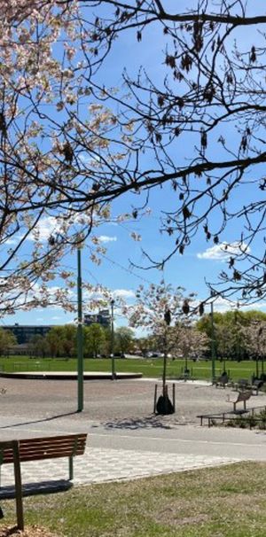 Atterbomsgatan 27, 75430, Uppsala - Photo 1