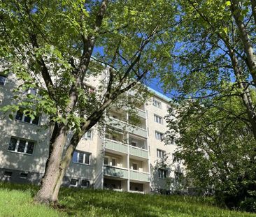 3-Zimmer-Wohnung unweit vom Stadtpark entfernt - Photo 4
