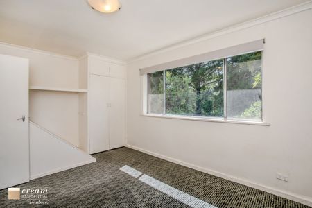 2/19 Devonport Street, Lyons ACT 2606 - Apartment For Rent | Domain - Photo 4