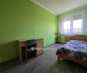 Vénkert, Hajdú-Bihar, 4027, Debrecen - Fotó 6