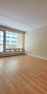 Appartement 3 ½ à louer Montcalm / Saint-Sacrement janvier 2026 - Photo 3