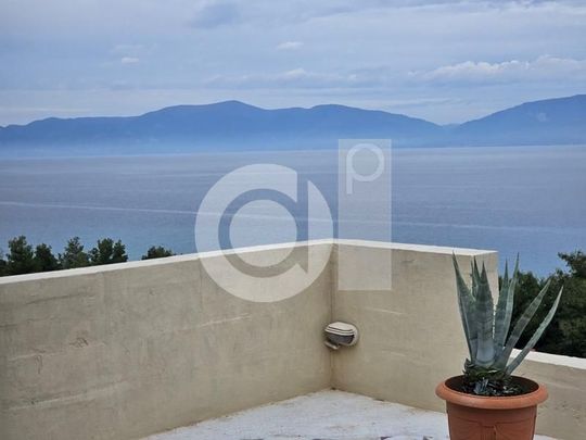 Μονοκατοικία για ενοικίαση Μαλεσίνα - Photo 1