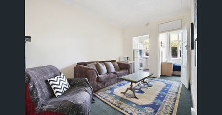 PARTLY FURNISHED INNER CITY APARTMENT IN THE HEART OF DARLINGHURST - Photo 3