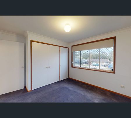14 Simpson Court, Mayfield, NSW 2304 - Photo 5