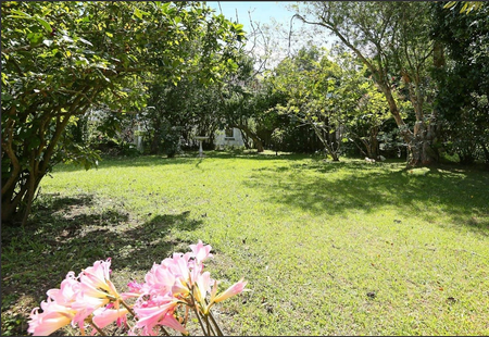 Dream Family Livin with Garden Oasis - Photo 2