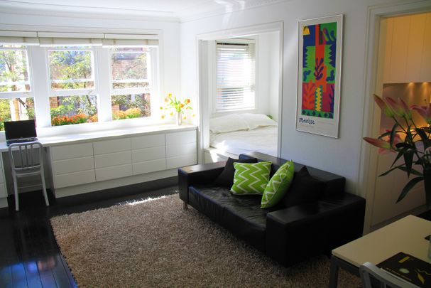 68 Bayswater Road, Rushcutters Bay NSW 2011 - Apartment For Rent | Domain - Photo 1