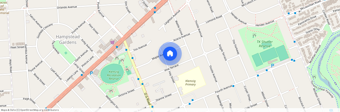 19 Maple Avenue, SA 5087, Klemzig