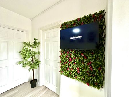 Room in a Shared Flat, Shaftesbury Avenue, BS6 - Photo 4