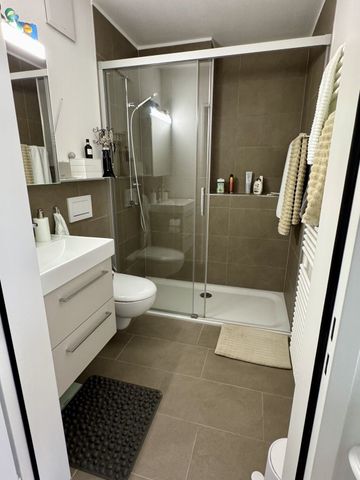 2-ROOM APARTMENT IN LUCERNE, FURNISHED, TEMPORARY - Foto 5