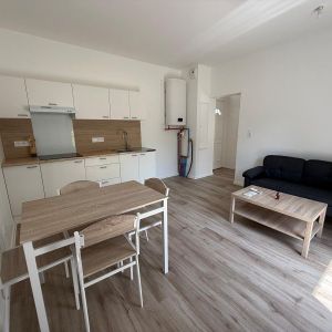 Location Appartement 2 pièces Meublé 29m² ST PIERRE DU MONT 40280 - Photo 2