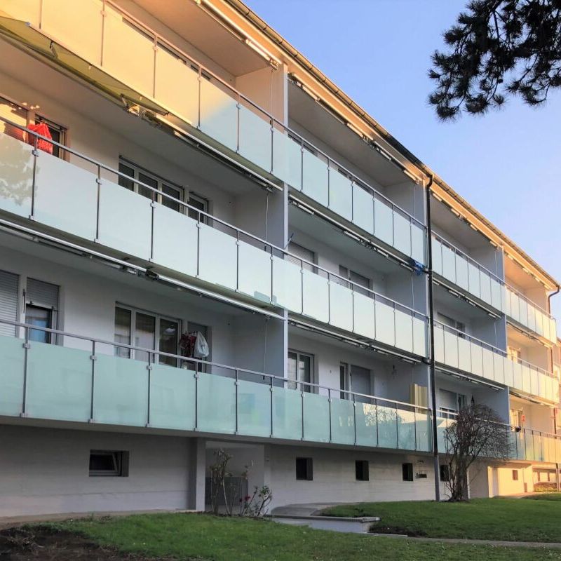 "3-Zimmerwohnung in Muttenz" - Photo 1