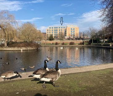 Studio to rent - Photo 2