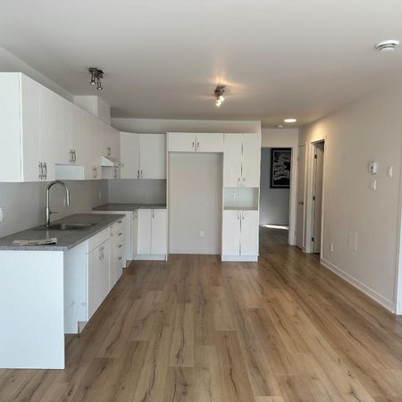 41/2 disponible 1er novembre à Mont-Blanc - Photo 4